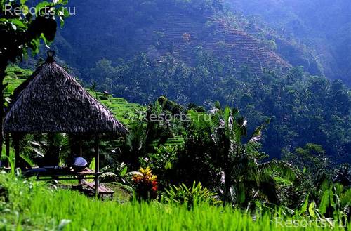 ALiLa Manggis boutique 2